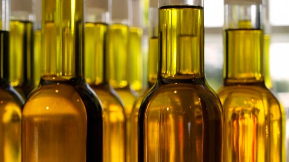 Is Olive Oil in a Plastic Bottle Safe?, SELO